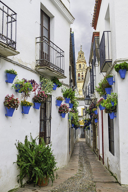 科尔多瓦的Calleja de las Flores，老城迷人的小巷之一(西班牙安达卢西亚)
